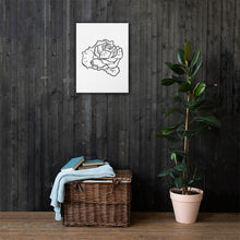 Load image into Gallery viewer, Rose Sketch Canvas