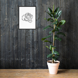 Rose Sketch framed poster