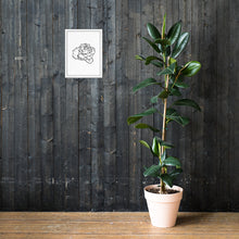 Load image into Gallery viewer, Rose Sketch framed poster